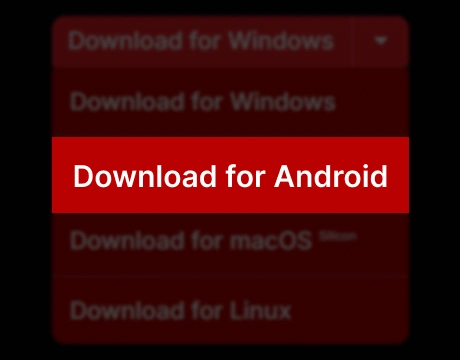 PokerKing Android download page screenshot