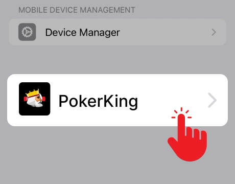 Trusting PokerKing enterprise app profile on iPhone screenshot