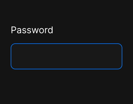 Password Field